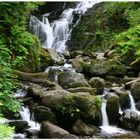 Torc Wasserfall in Killarney (Irland)