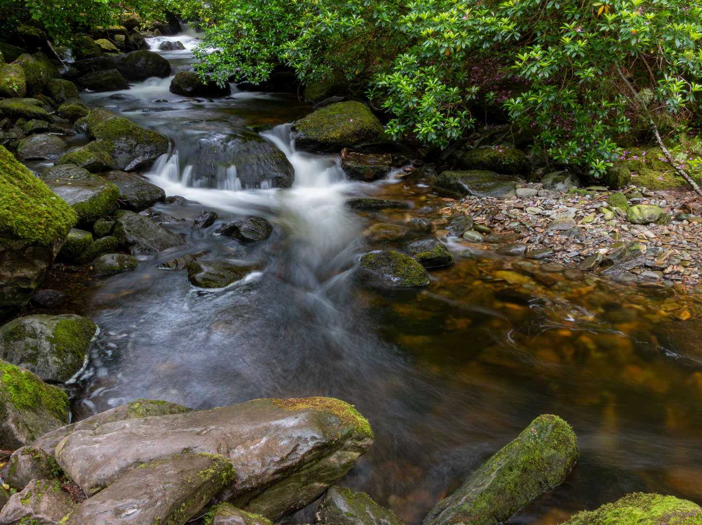 Torc Wasserfall (Irland) 2