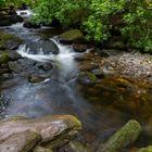 Torc Wasserfall (Irland) 2