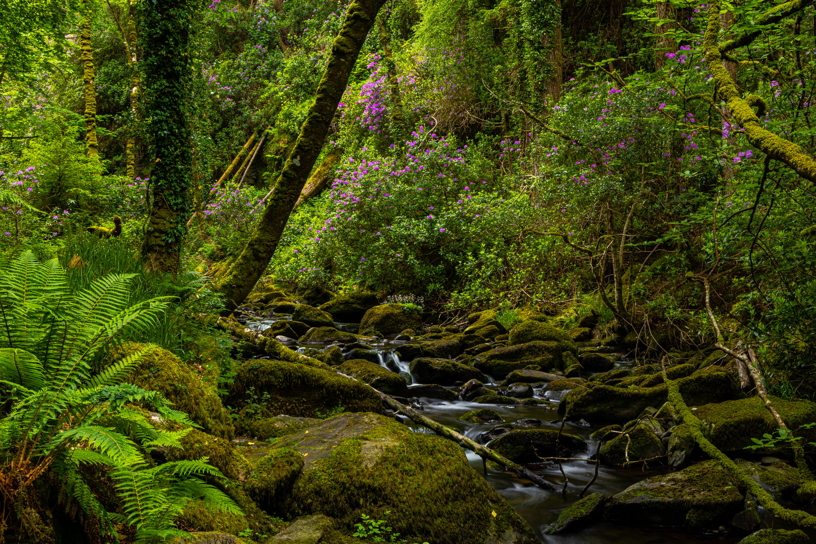 Torc Waterfall