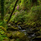 Torc Waterfall