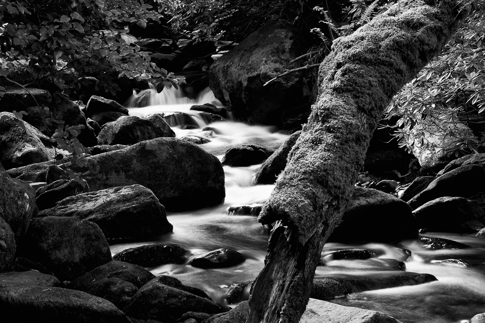 Torc Waterfall III