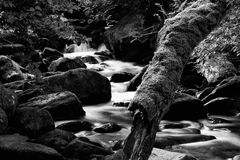 Torc Waterfall III