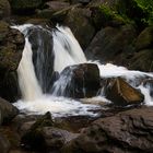Torc Waterfall - Killarney National Park
