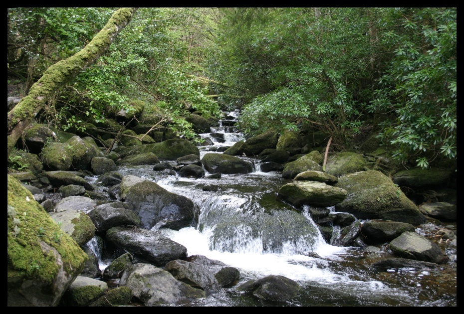 Torc Waterfalls