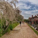  Torcello das andere Venedig