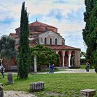 TORCELLO