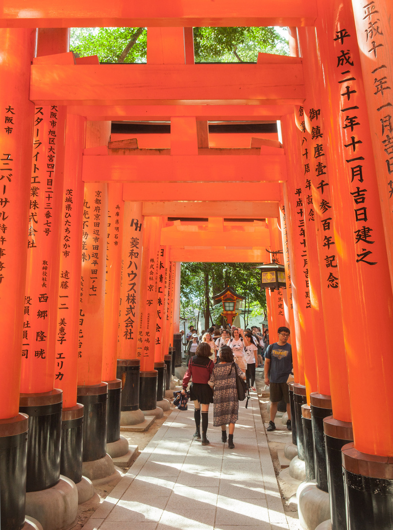 Tore des Fushimi-Inari-Schreins