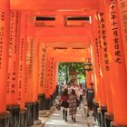 Tore des Fushimi-Inari-Schreins