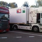 TORELLO trasporti scania r 500