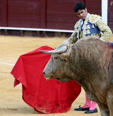 Torero