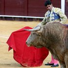 Torero