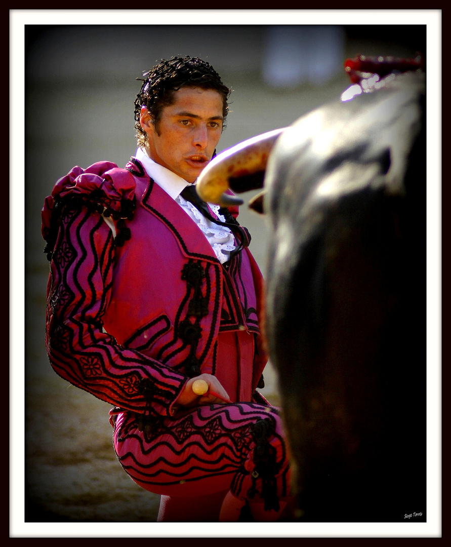 Torero