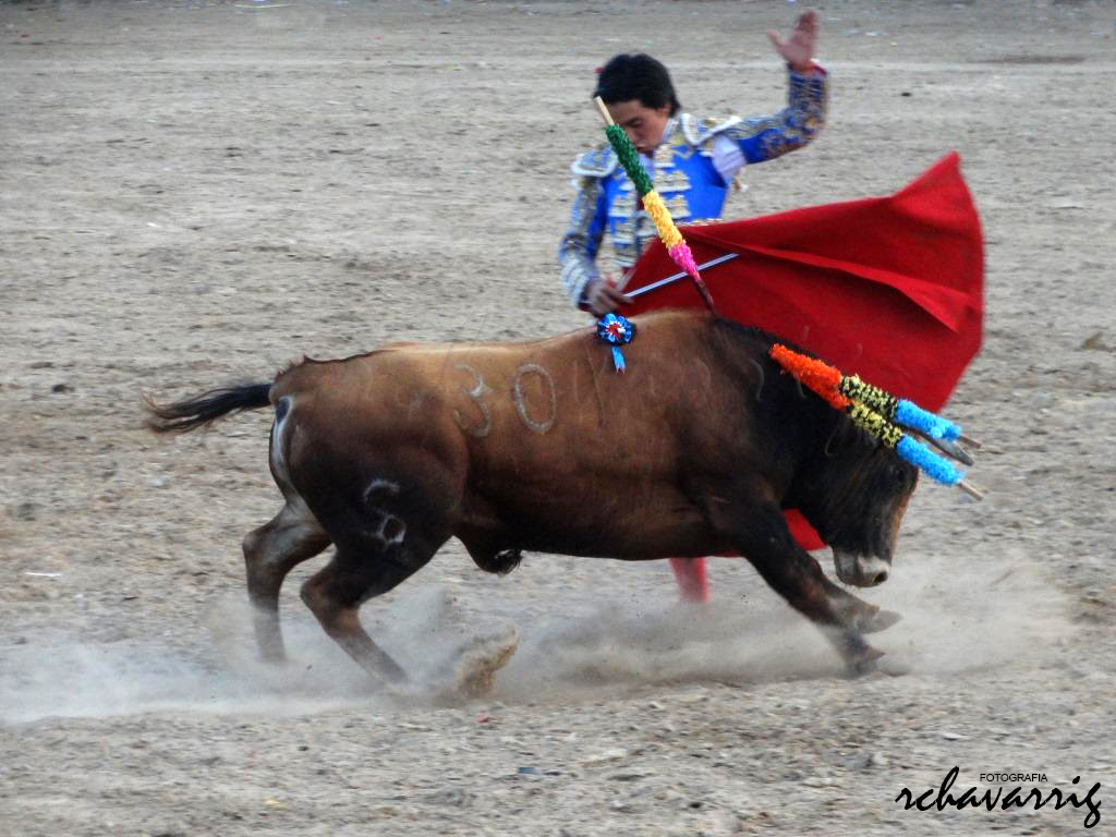 Torero