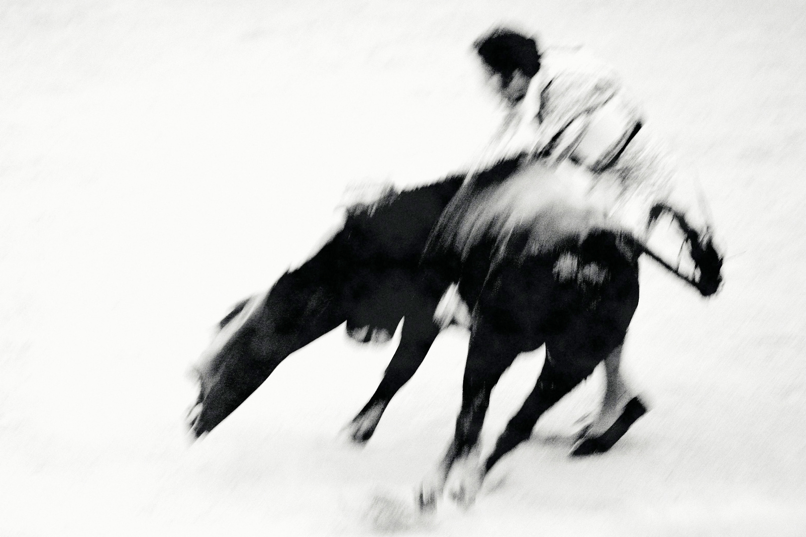 Torero Foto & Bild fotos, spezial, dokumentation Bilder auf