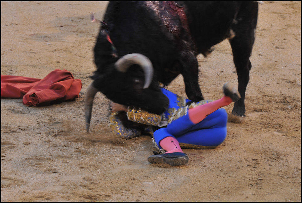 Torero down