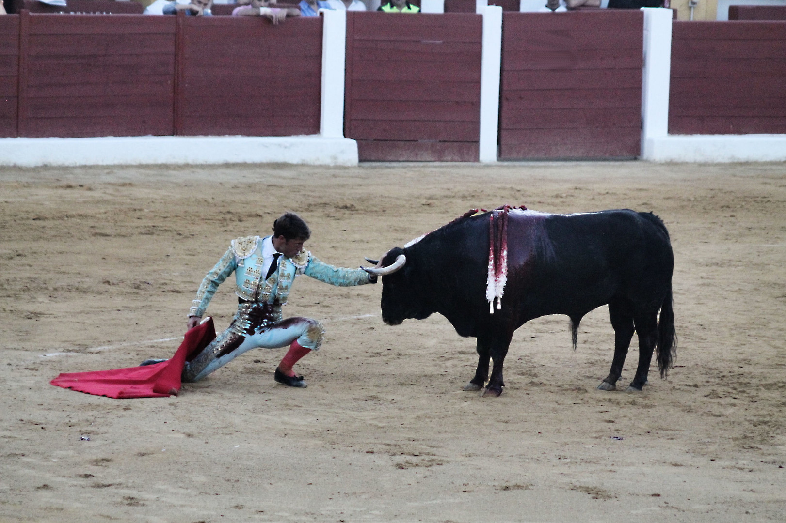 Torero y toro