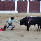 Torero y toro