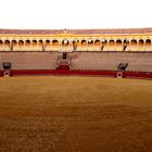 Torerro Arena