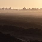 Torfabbau im Morgenlicht