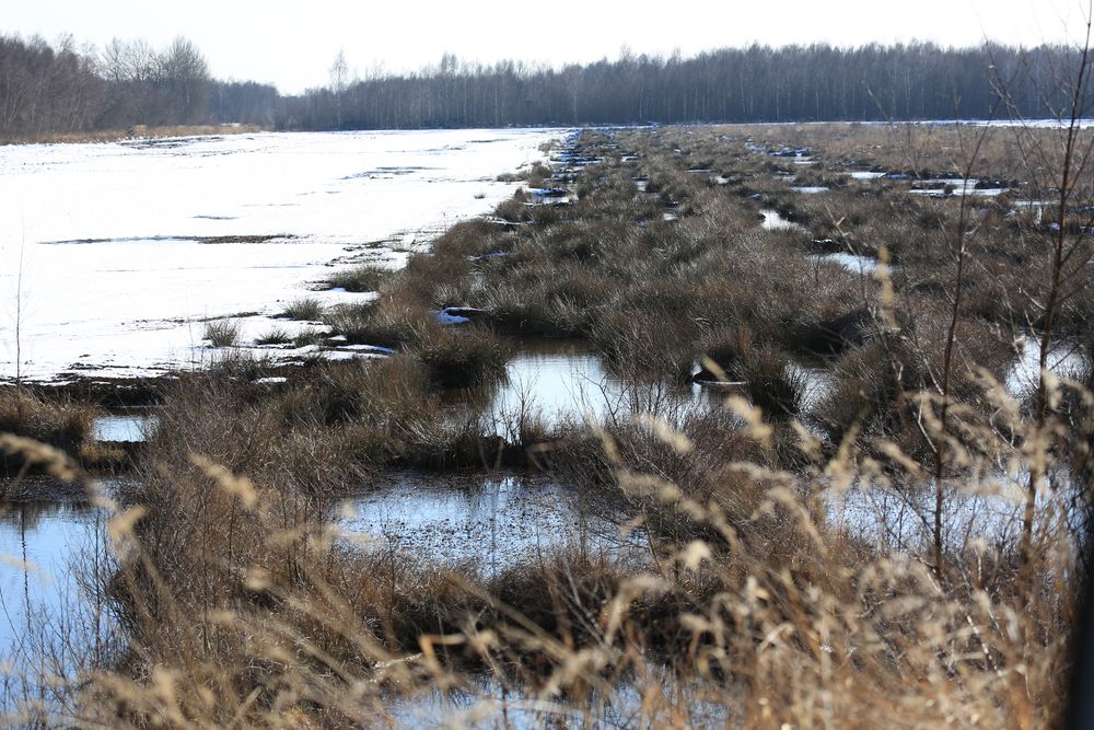 Torfabbaugebiet im Winter