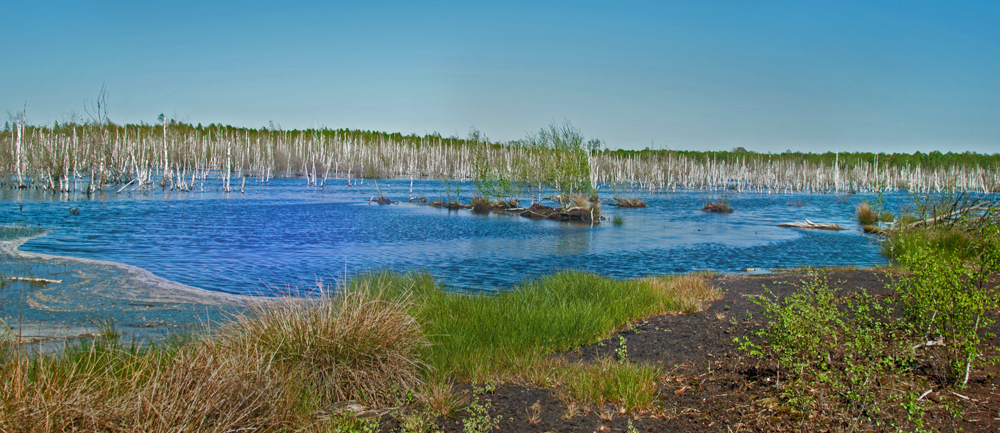 Torfabbausee