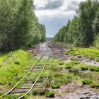 Torfbahn Himmelmoor