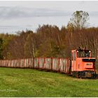 Torfbahn im Herbst 