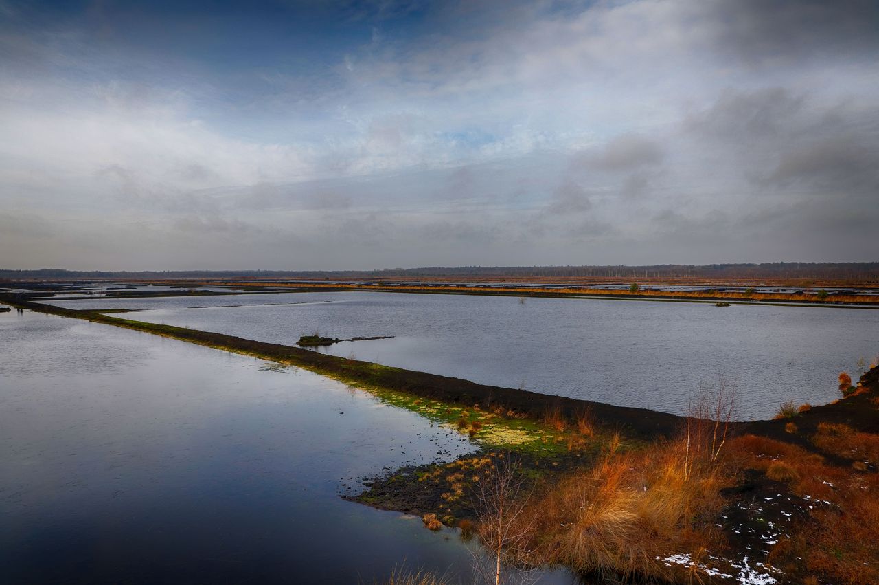 Torfgebiet Himmelmoor bei Quickborn