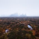 Torfhausmoor, Harz