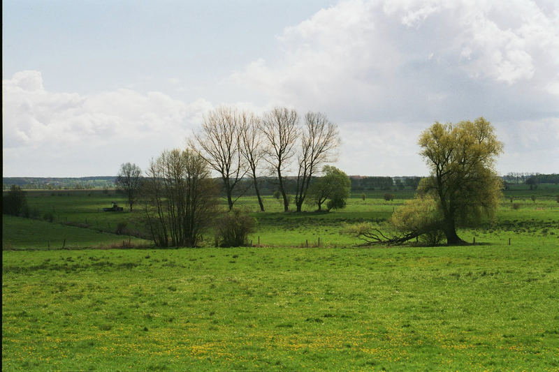 Torfheide Usedom Nähe Zinnowitz