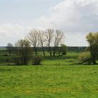 Torfheide Usedom Nähe Zinnowitz