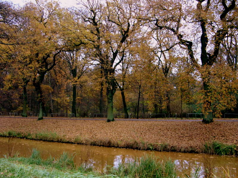 Torfkanal am Bürgerpark