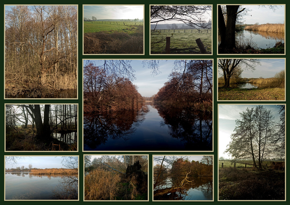 Torfmoor Steinhuder Meer