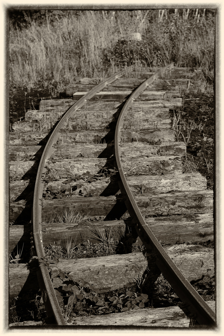 Torfmoorbahn...