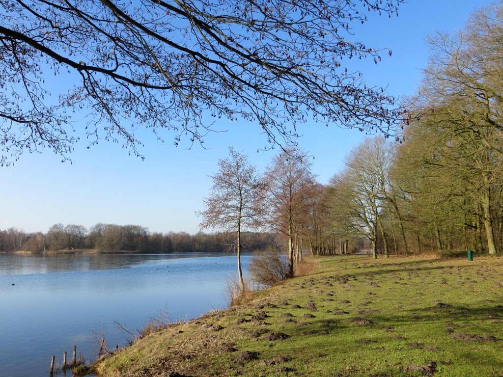 Torfmoorsee bei Hörstel