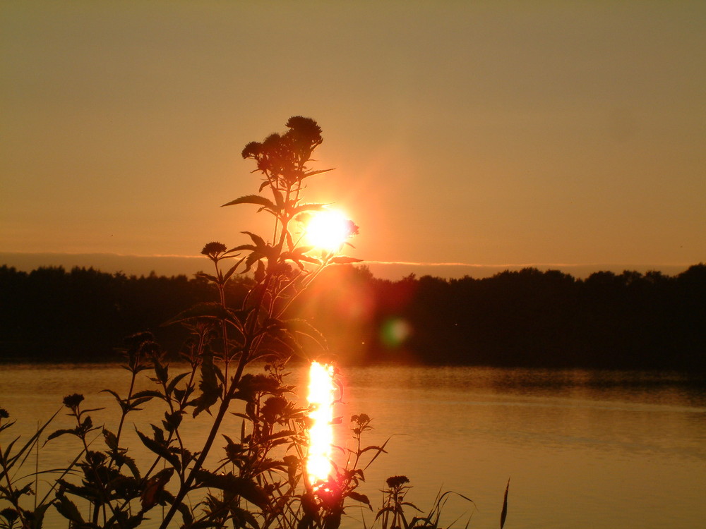 Torfmoorsee in Hörstel