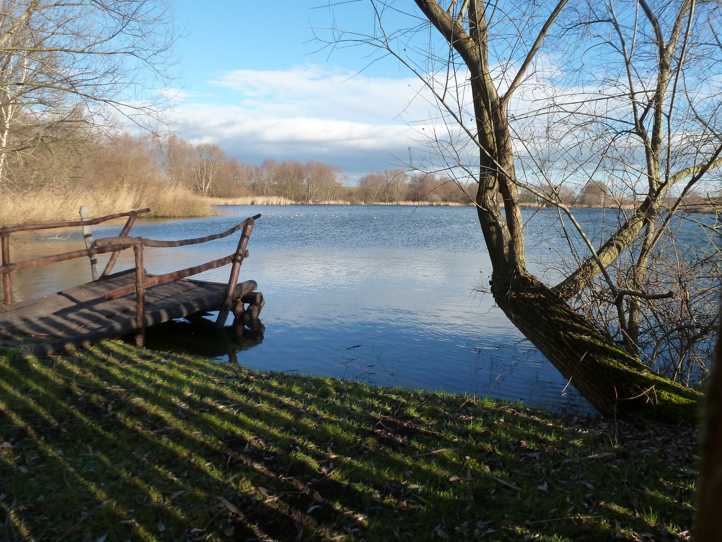 Torfstich Niederdorla, am Mittelpunkt Deutschlands