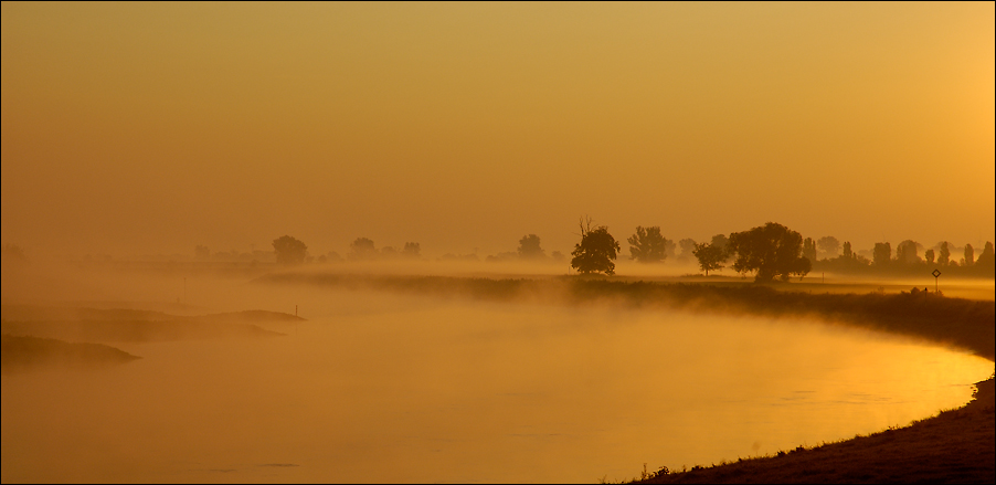 [Torgauer Land] Morgennebel über der Elbe, Kranichau