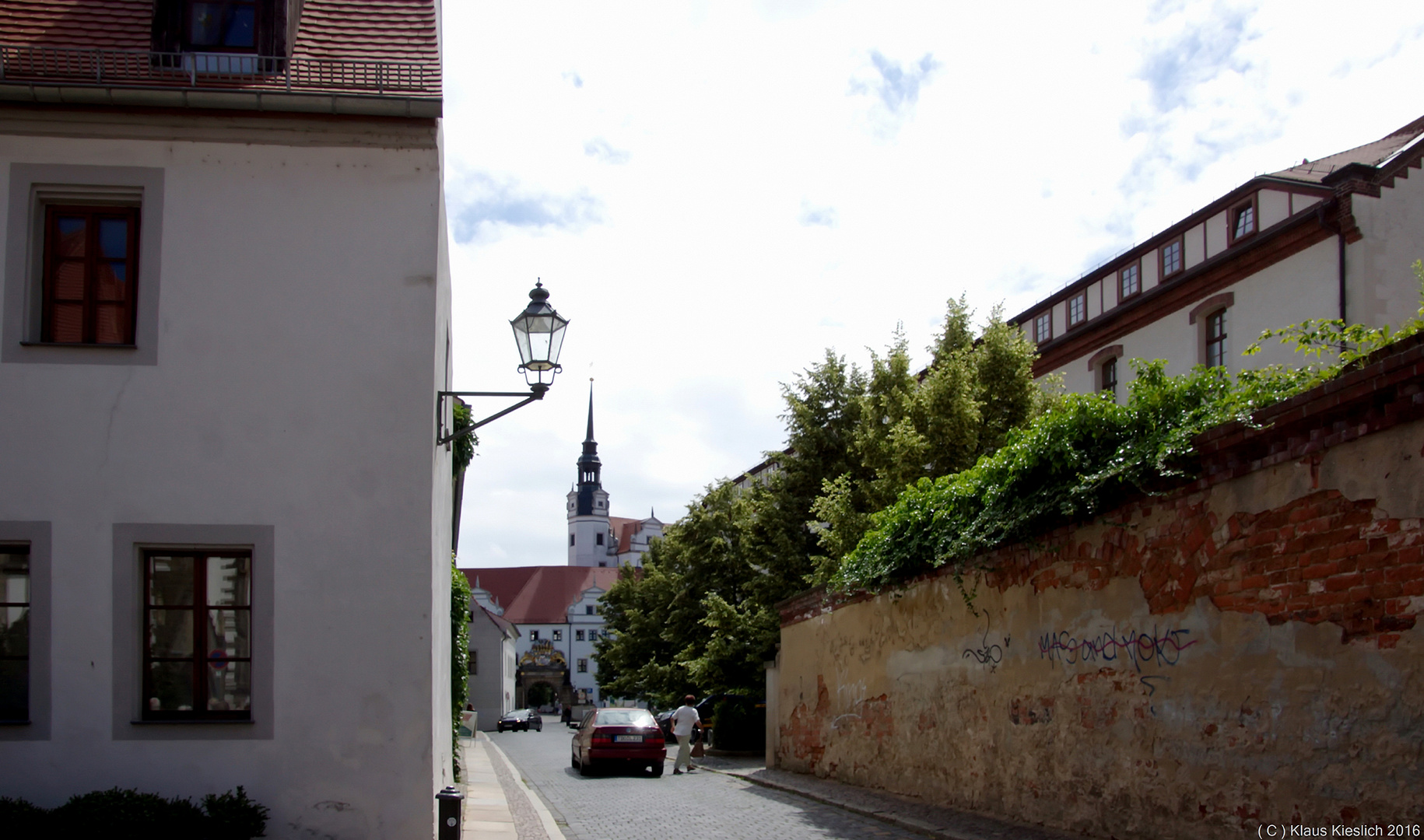 Torgau,Wintergrüne mit Blick zum Schloß Hartenfels