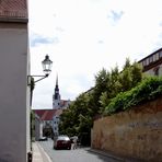 Torgau,Wintergrüne mit Blick zum Schloß Hartenfels