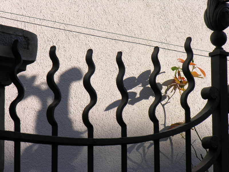 Torgitter mit Schattenspiel auf der Mauer