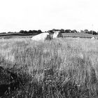 Torhouse Stone Circle