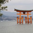 Tori vor Miyajima