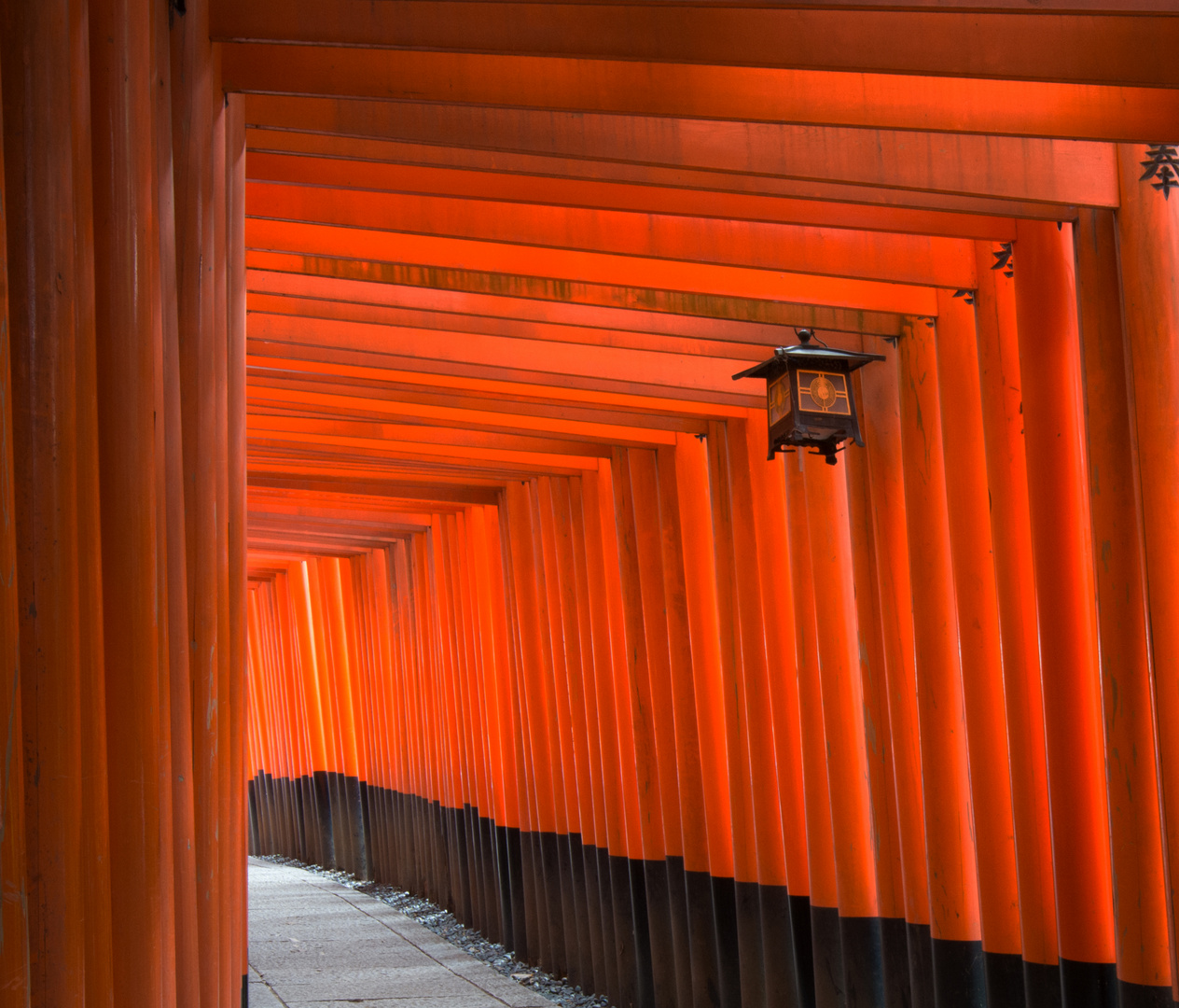 Tori zum Fushimi Inari-Taisha