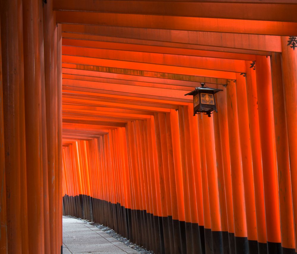 Tori zum Fushimi Inari-Taisha