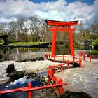 Torii