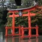 Torii