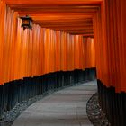 Torii 4