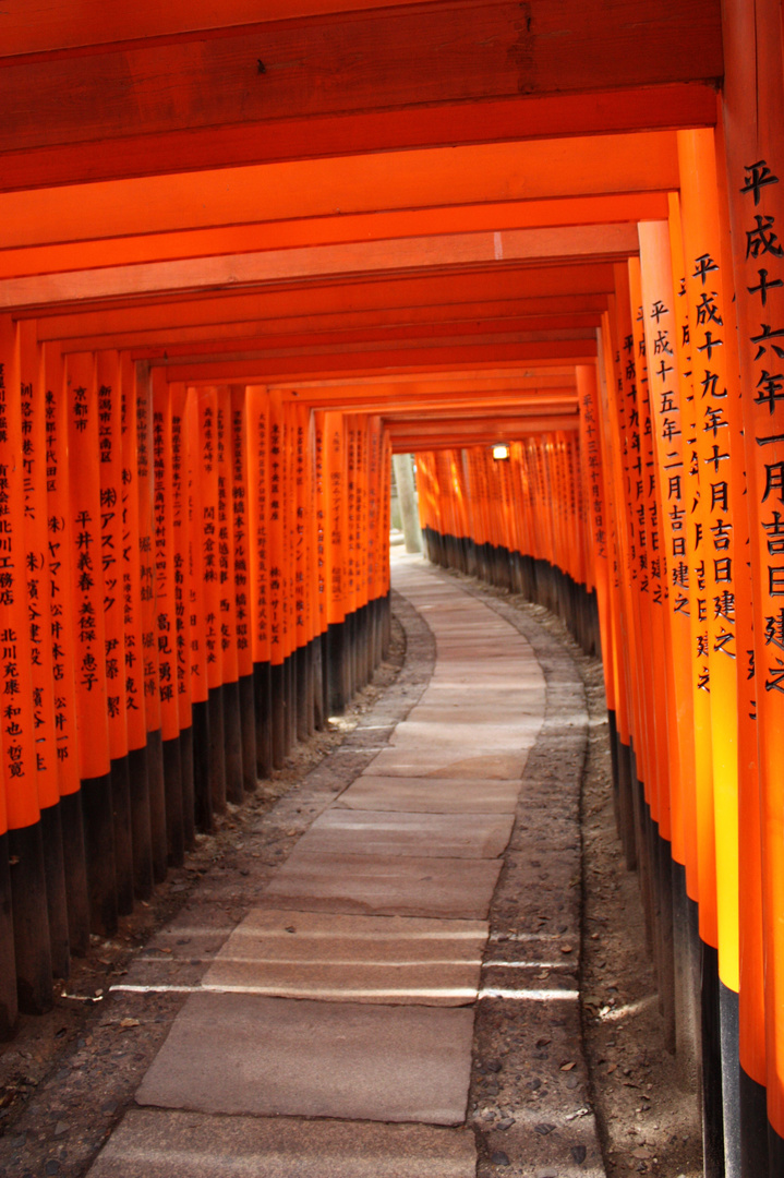 Torii